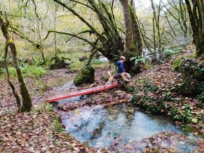 Un niño cruza un arroyo en el bosque de Irati.